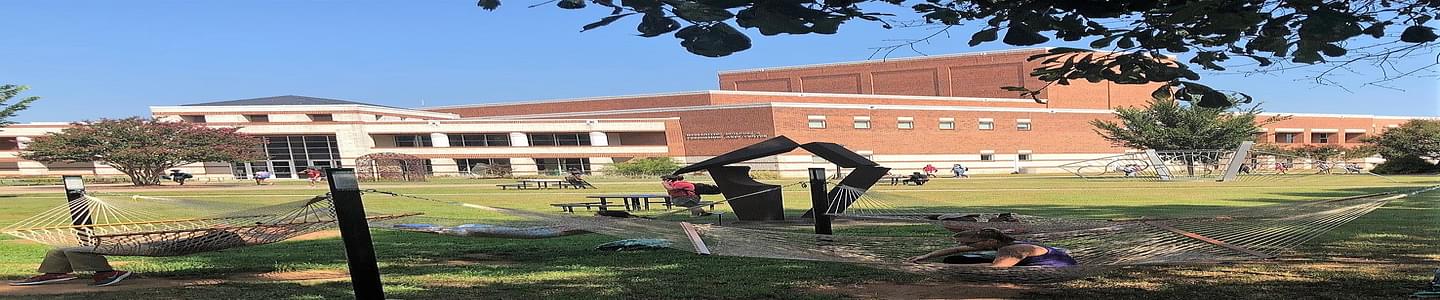 University of South Carolina - Upstate banner